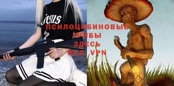 гидра Балахна