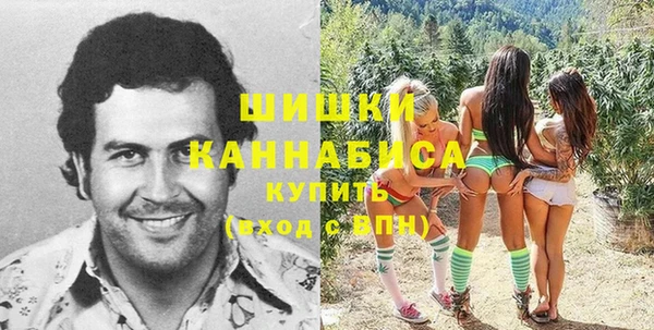 apvp Арсеньев