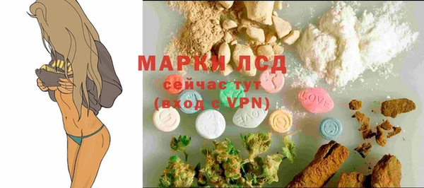 apvp Арсеньев