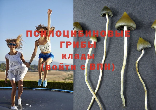 кокаин премиум Армянск