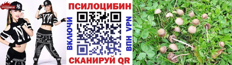 omg вход  Углич  Галлюциногенные грибы Magic Shrooms 